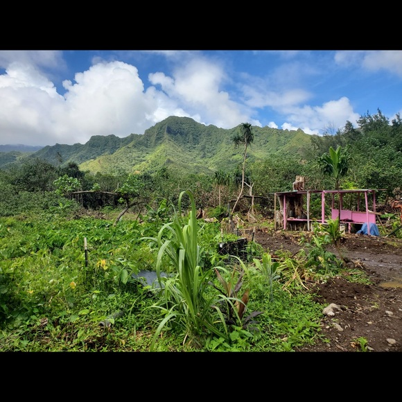 Meet your Posher, Rafael - Picture 1 of 1